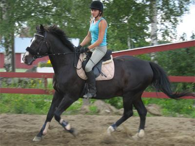 aikuiset_2_021[1].jpg - Krisse ja Chicco